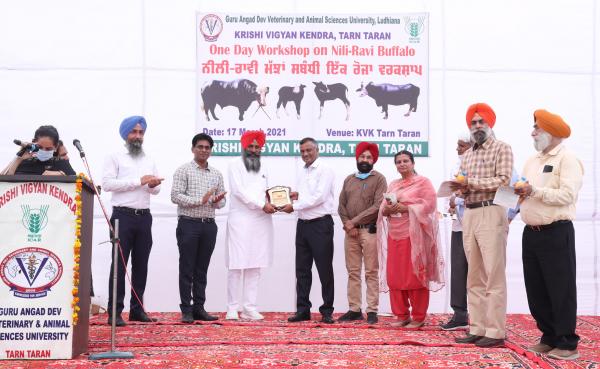 Dr. Inderjeet Singh, Vice Chancellor, GADVASU awarded the prize in workshop on Nili Ravi buffalo at Krishi Vigyan Kendra, Booh on 18th March,2021